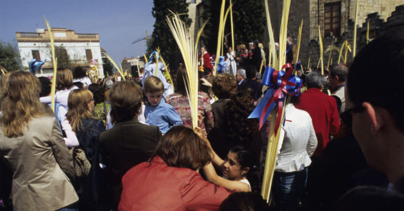 ¿Cuando comprar la palma blanca para Domingo de Ramos?