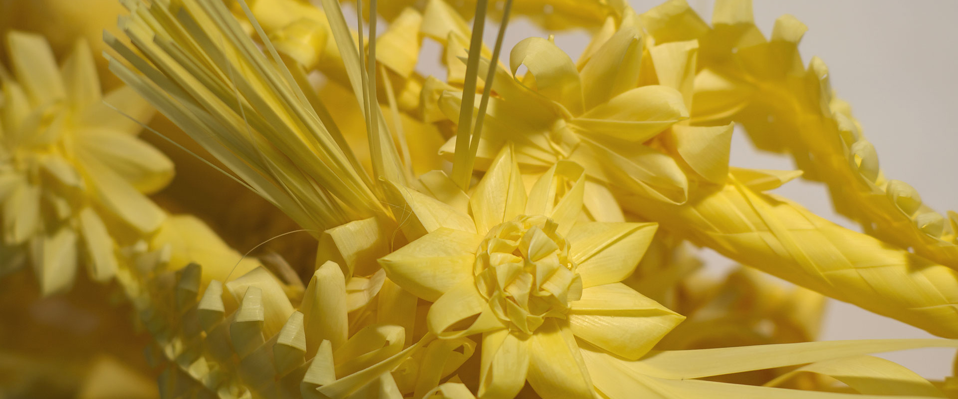 Palmas blancas de Semana Santa