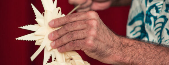 ¿Para que se usa la palma blanca?